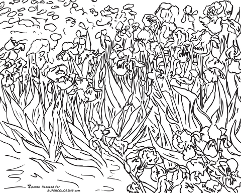 Irises By Vincent Van Gogh  Coloring Page